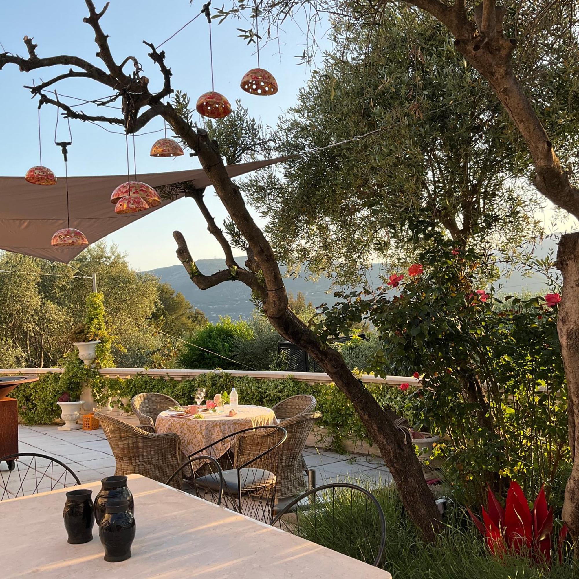 Mas De Provence En Riviera Hotel La Roquette-sur-Var Luaran gambar